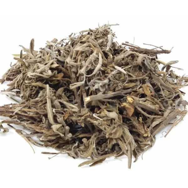 CHA - SALVIA FOLHAS